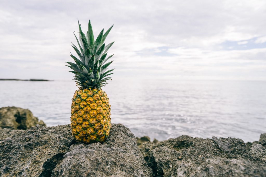 Ananas Ananas