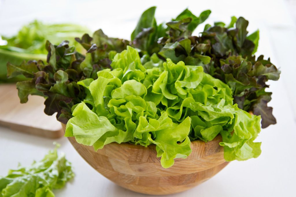 Cât timp se păstrează salata verde proaspătă