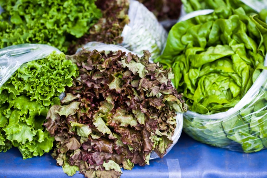 Cât se păstrează salata verde proaspătă?