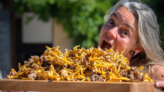 Ciupercile ar trebui spalate inainte de a fi gatite? Ciupercile ar trebui spalate inainte de a fi gatite?