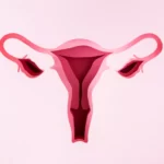 Prolapsul uterin: cauze, simptome, tratament, prevenire și posibile complicații