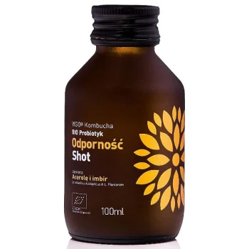Shot kombucha, supliment probiotic, Vigo Yoko, 100 ml