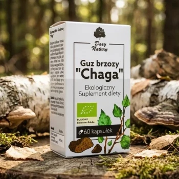 Extract ciuperci Chaga Bio, antioxidant natural, Dary Natury, 60 cps - Vitamine minerale remedii naturale