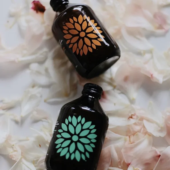 Kombucha, acerola si ghimbir, probiotice, Vigo Yoko, 330 ml