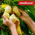 Suc de fructe de noni NFC Bio 330 ml Medicura