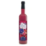 Elixir Magic pentru copii concentratacu zmeura Bio Retter 500ml