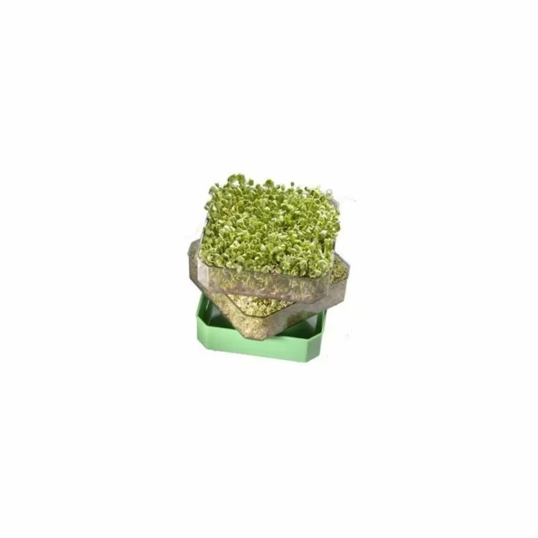 Germinator cu 2 tavite, fara BPA, pentru germinari