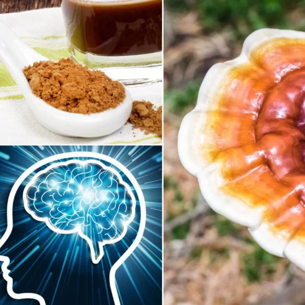 Extract de ciupercă Reishi (Ganoderma lucidum) 400mg RAAB 80 cps