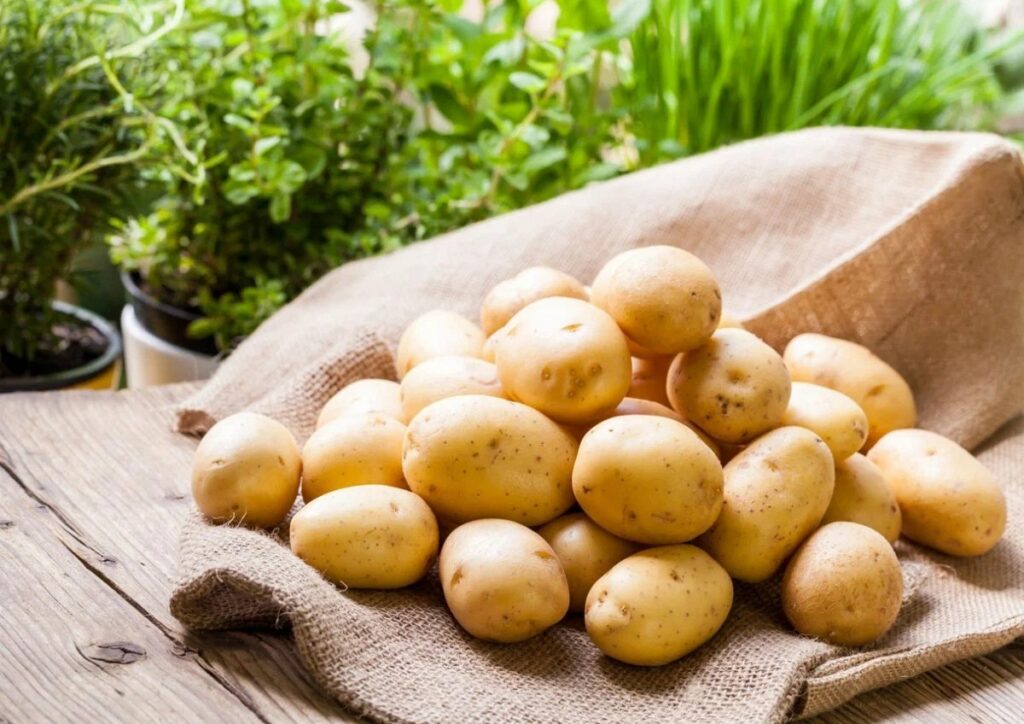 Cartofii... Beneficiile consumului de legume. Elixir al tinereții