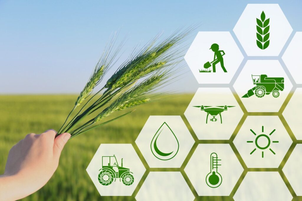 9 Beneficii ale Agriculturii Ecologice pentru Mediul Înconjurator 9 Beneficii ale Agriculturii Ecologice pentru Mediul Înconjurator