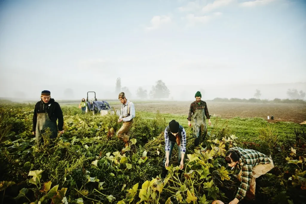 9 Beneficii ale Agriculturii Ecologice pentru Mediul Înconjurator 9 Beneficii ale Agriculturii Ecologice pentru Mediul Înconjurator