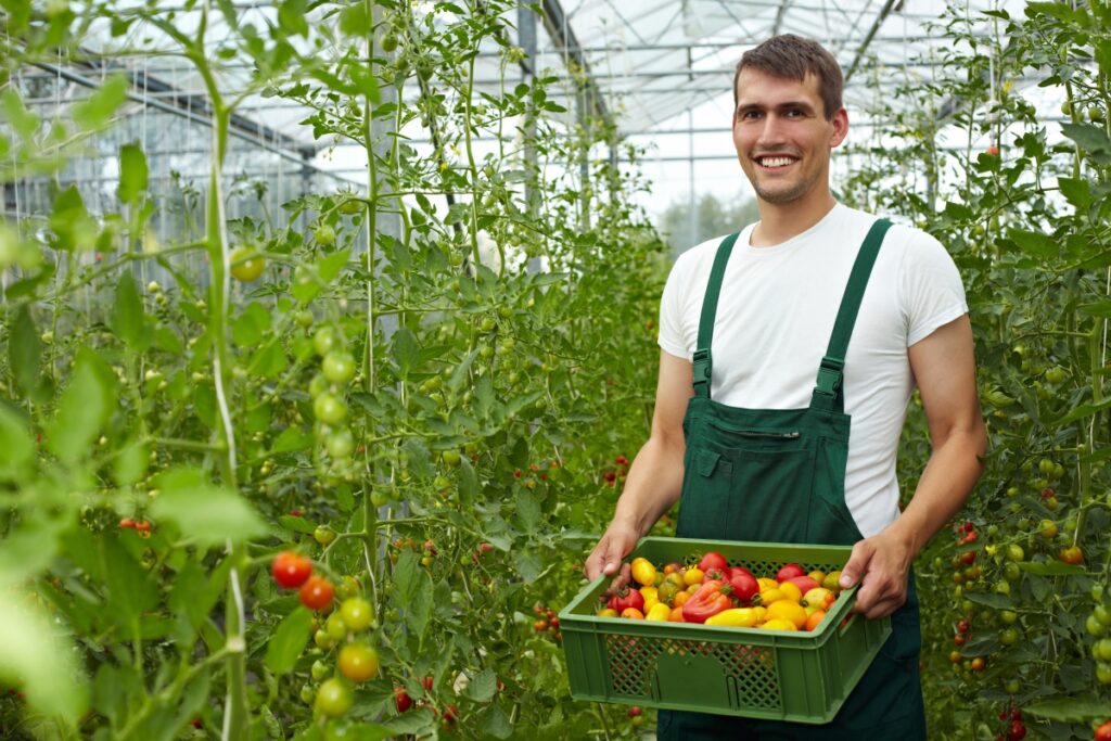 9 Beneficii ale Agriculturii Ecologice pentru Mediul Înconjurator 9 Beneficii ale Agriculturii Ecologice pentru Mediul Înconjurator