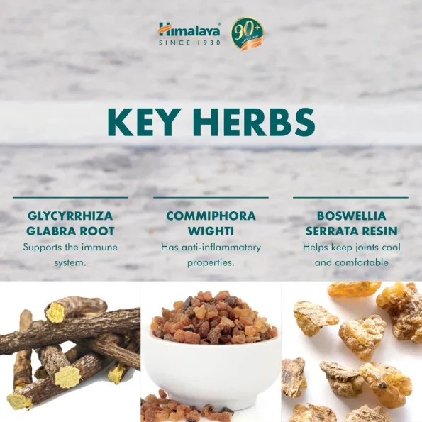 Rumalaya Forte, Himalaya, supliment natural, 60 buc