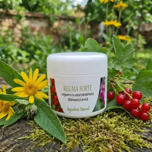 Unguent reumatism cu untul pamantului, tataneasa, arnica Reuma Forte - Vitamine minerale remedii naturale