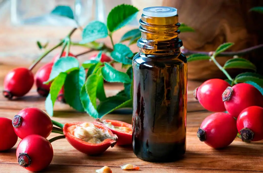 Beneficiile uleiului de trandafir salbatic: proprietati, utilizari si mod de folosire