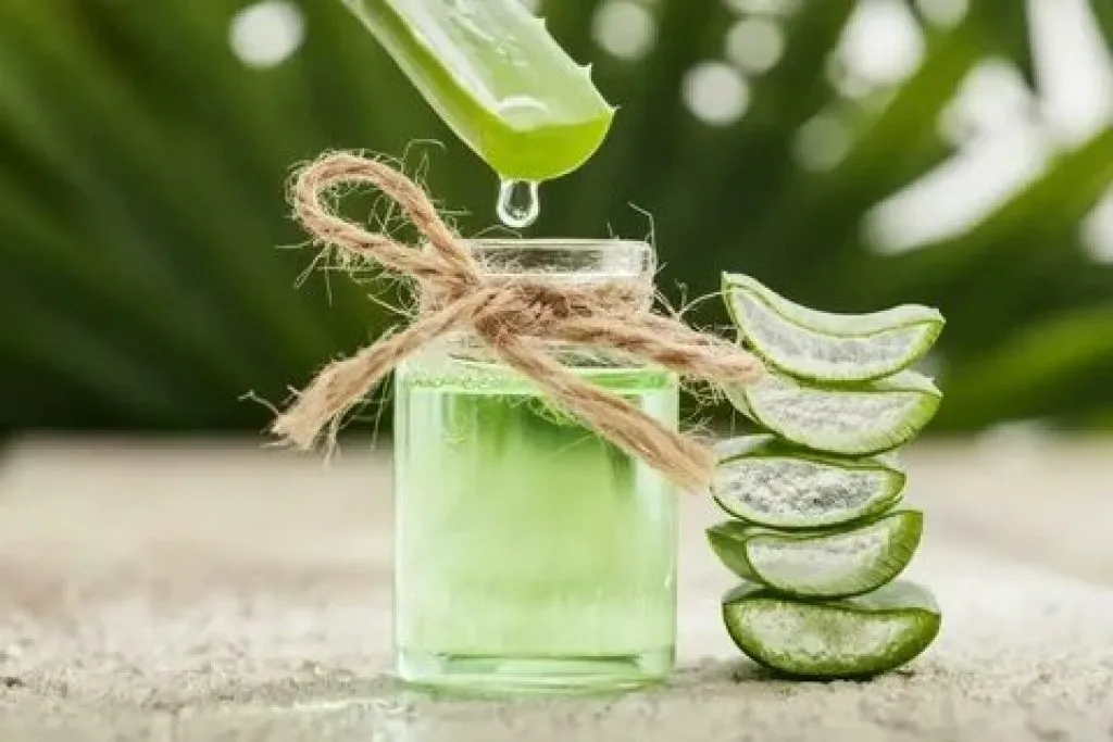 Aloe vera 10 beneficii minunate pentru sanatate Aloe vera 10 beneficii minunate pentru sanatate