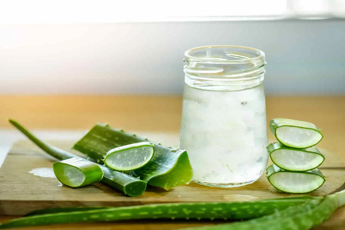 Aloe vera 10 beneficii minunate pentru sănătate