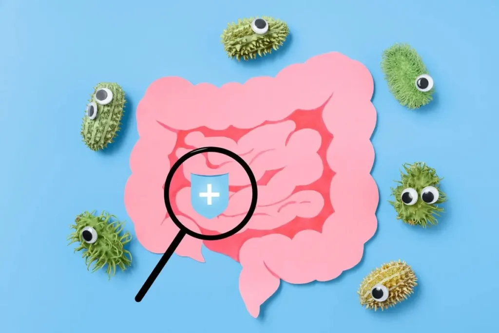 Ce este microbiota intestinala si de ce avem nevoie de ea? Ce este microbiota intestinala si de ce avem nevoie de ea?