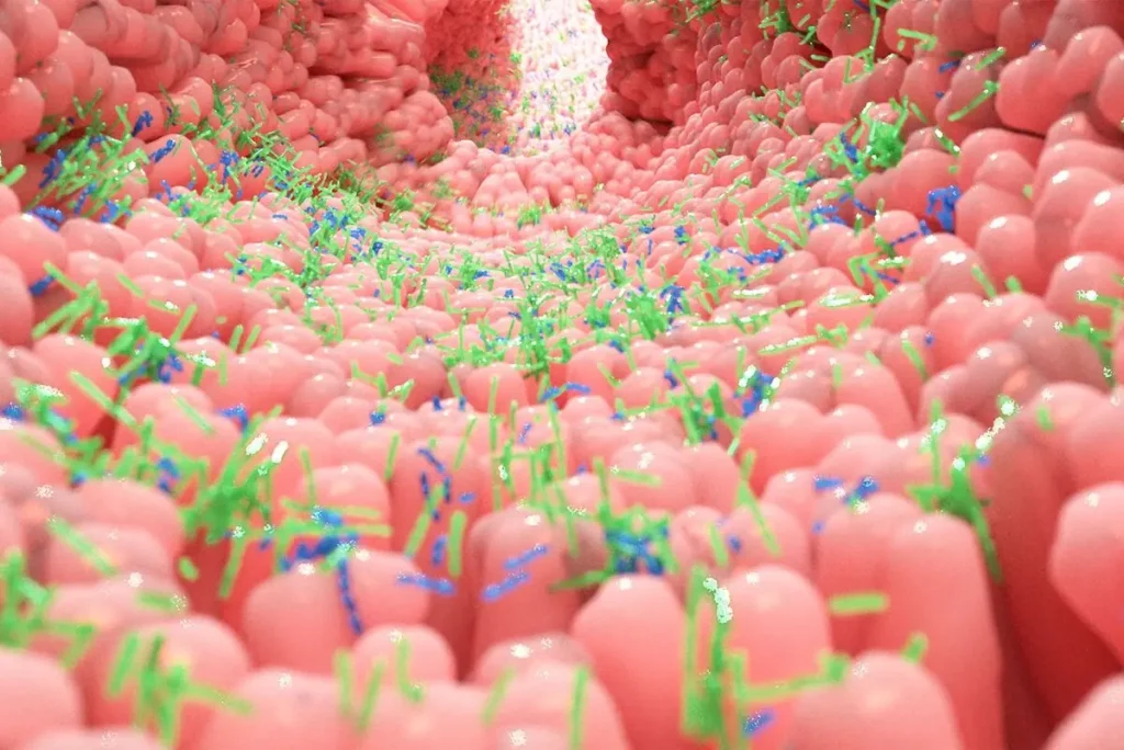 Ce este microbiota intestinala si de ce avem nevoie de ea? Ce este microbiota intestinala si de ce avem nevoie de ea?