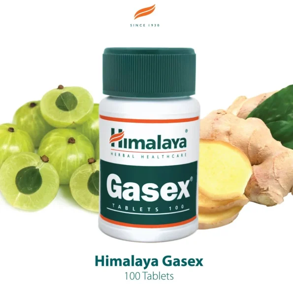 Gasex, Triphala și Sunthi, Himalaya Herbal, 100 tabs