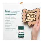 Gasex, Triphala și Sunthi, Himalaya Herbal, 100 tabs