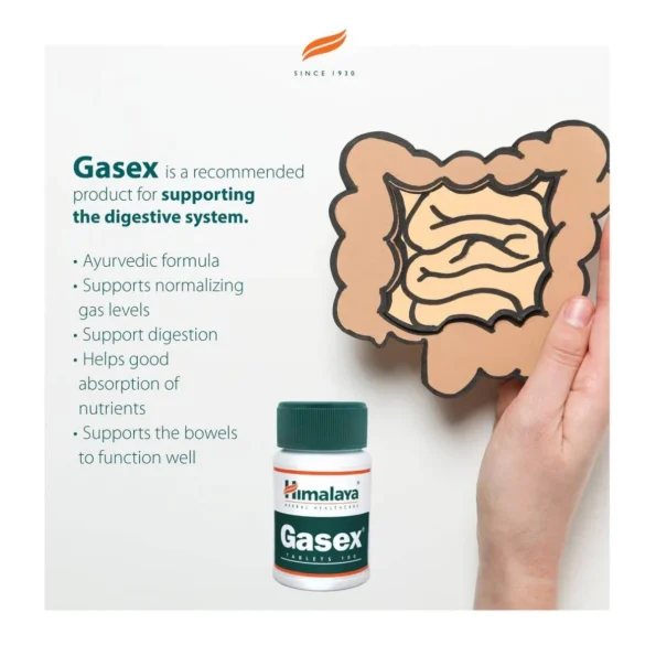 Gasex, Triphala și Sunthi, Himalaya Herbal, 100 tabs