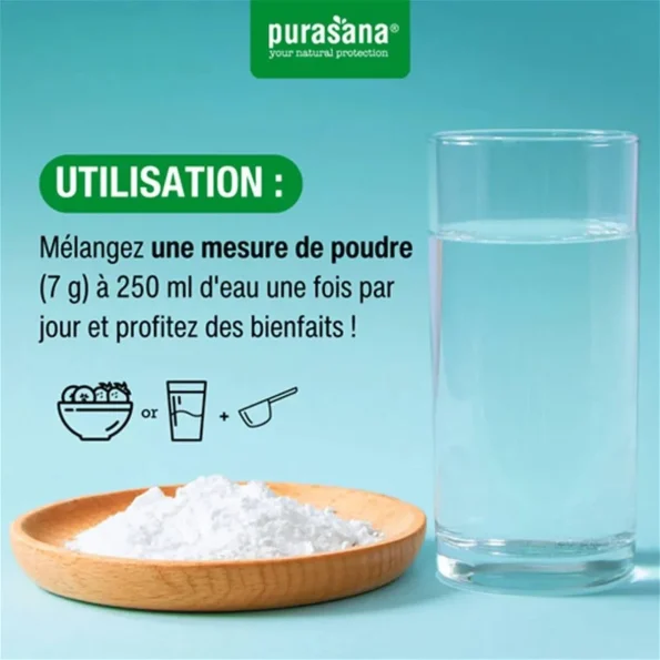 Amestec probiotice cu enzime digestive, pulbere, Transit Pro, Purasana, 140 g