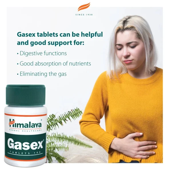 Gasex, Triphala și Sunthi, Himalaya Herbal, 100 tabs