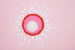 Încercăm de un an să avem un copil și nu se întâmplă: când e momentul să mergem la o clinică de fertilitate şi FIV? Încercăm de un an să avem un copil și nu se întâmplă: când e momentul să mergem la o clinică de fertilitate şi FIV?