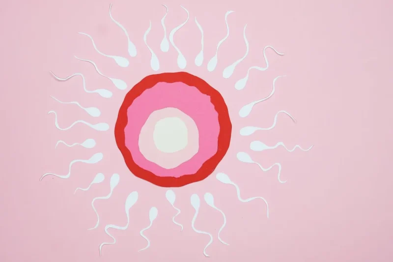 Încercăm de un an să avem un copil și nu se întâmplă: când e momentul să mergem la o clinică de fertilitate şi FIV? Încercăm de un an să avem un copil și nu se întâmplă: când e momentul să mergem la o clinică de fertilitate şi FIV?